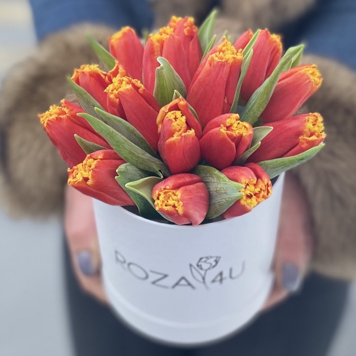 15 ярких тюльпанов в коробке