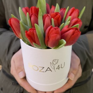 15 красных тюльпанов в коробке