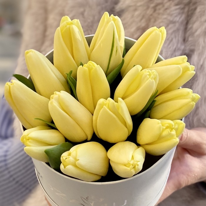 15 кремовых тюльпанов в коробке