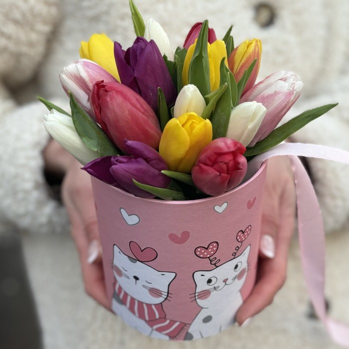 15 тюльпанов в коробке Котики