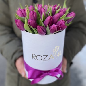 25 фиолетовых тюльпанов в коробке