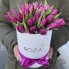 25 фиолетовых тюльпанов в коробке