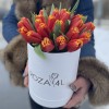 25 ярких тюльпанов в коробке