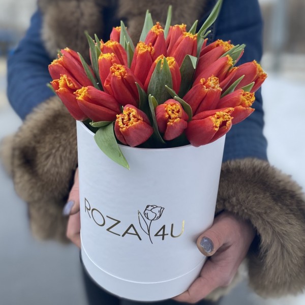 25 ярких тюльпанов в коробке