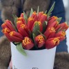 25 ярких тюльпанов в коробке