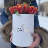 25 ярких тюльпанов в коробке