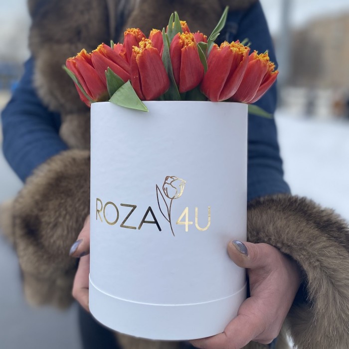 25 ярких тюльпанов в коробке