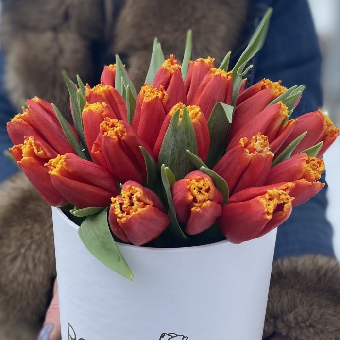 25 ярких тюльпанов в коробке