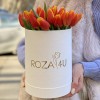 25 красно-желтых тюльпанов в коробке