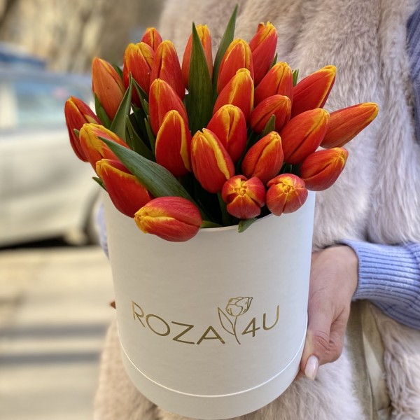 25 красно-желтых тюльпанов в коробке