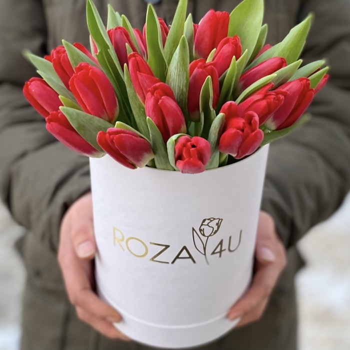 25 красных тюльпанов в коробке