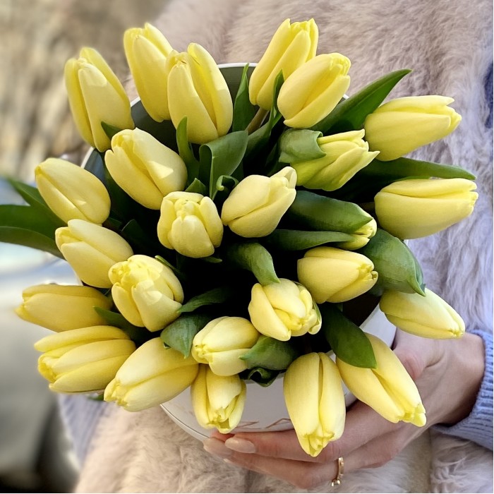 25 кремовых тюльпанов в коробке