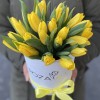 25 желтых тюльпанов в коробке