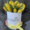 25 желтых тюльпанов в коробке