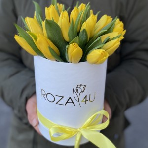 25 желтых тюльпанов в коробке