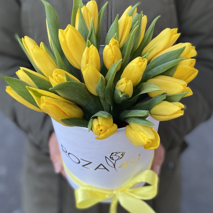 25 желтых тюльпанов в коробке