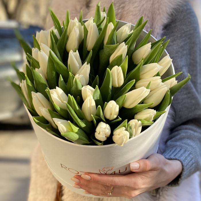 51 белый тюльпан в коробке