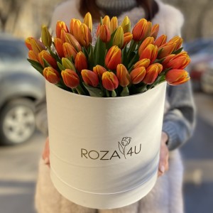 51 красно-желтый тюльпан в коробке