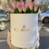 51 нежно-розовый тюльпан в коробке