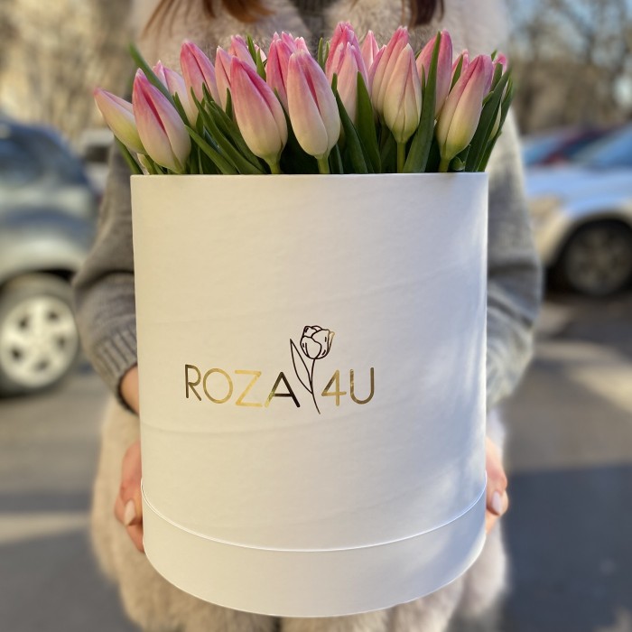 51 нежно-розовый тюльпан в коробке