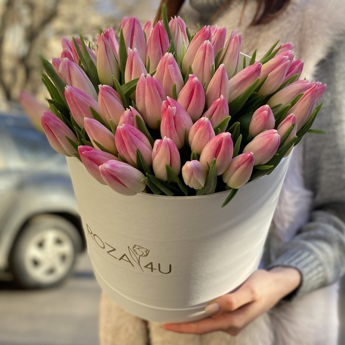 51 нежно-розовый тюльпан в коробке