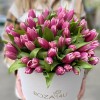 51 розово-белый тюльпан в коробке