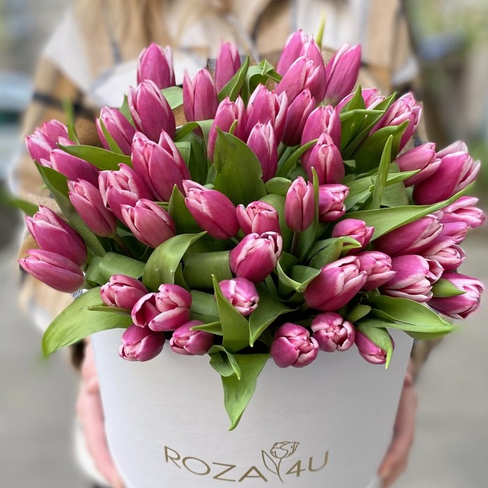 51 розово-белый тюльпан в коробке