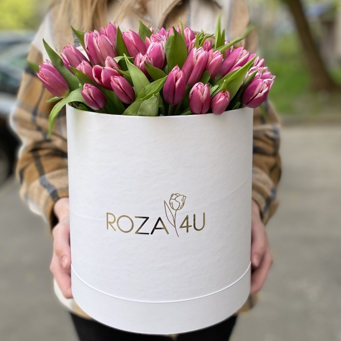 51 розово-белый тюльпан в коробке