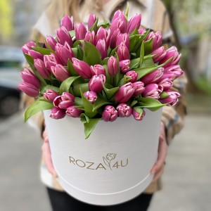 51 розово-белый тюльпан в коробке