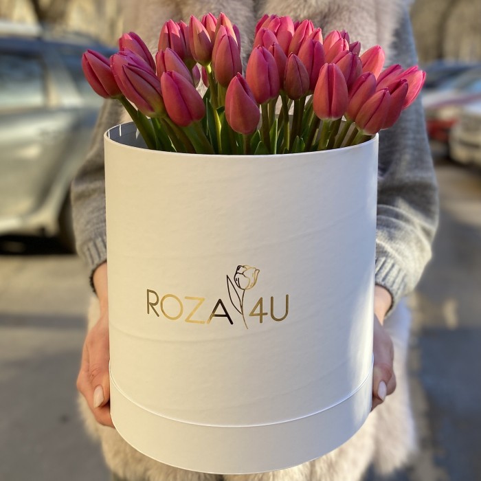 51 темно-розовый тюльпан в коробке