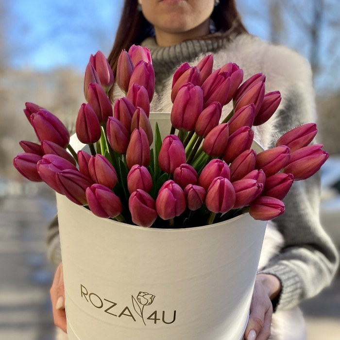 51 темно-розовый тюльпан в коробке