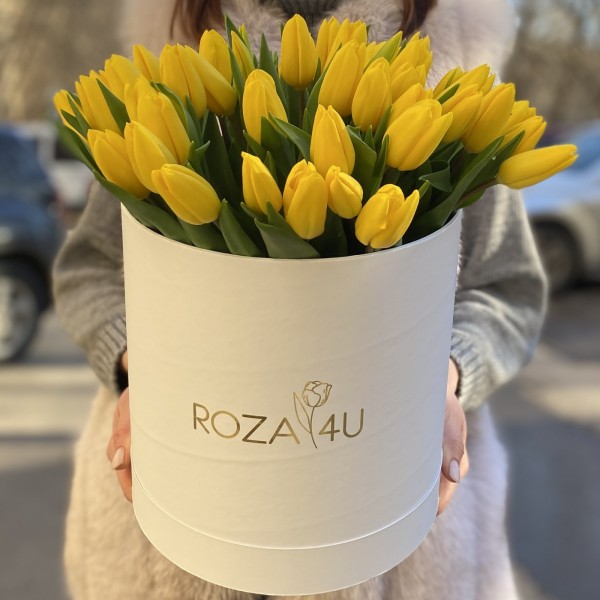 51 желтый тюльпан в коробке