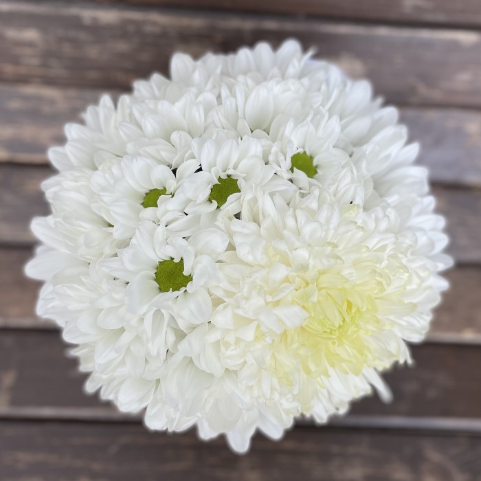 Белая композиция из хризантем в коробке