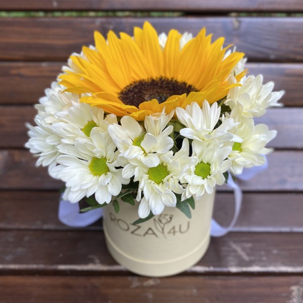 Мини коробка хризантем с подсолнухом