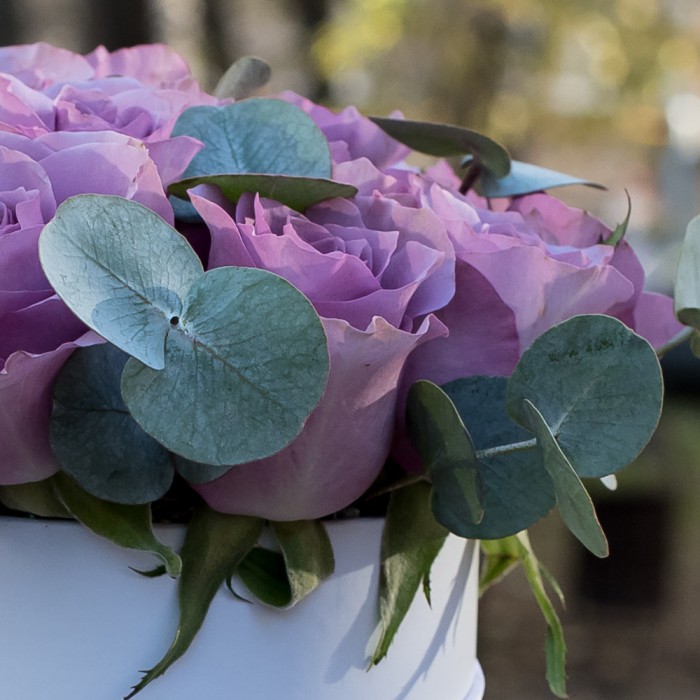 Сиреневые розы с эвкалиптом в коробке