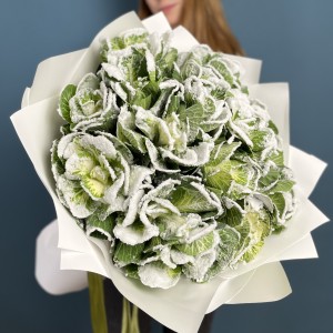 15 заснеженных брассики