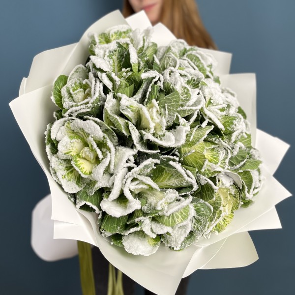 15 заснеженных брассики