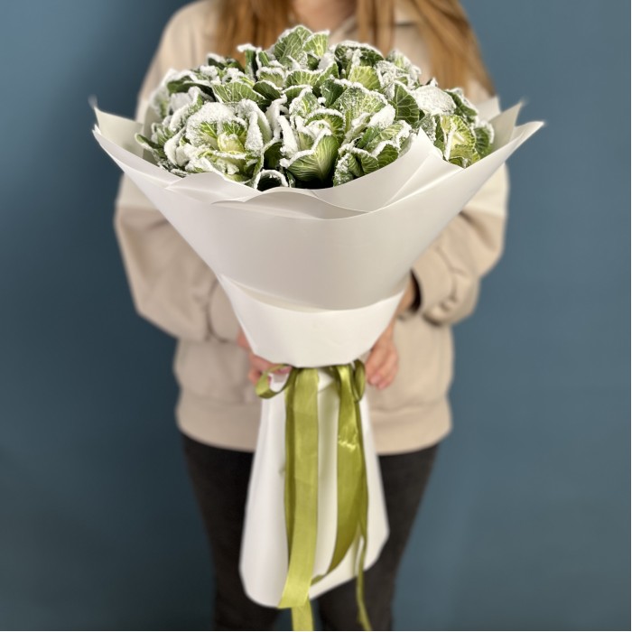 15 заснеженных брассики