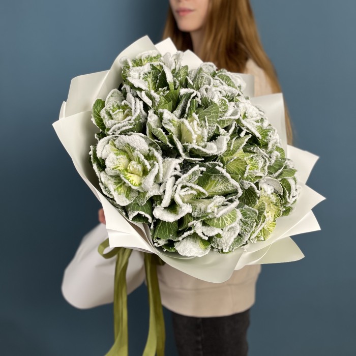 15 заснеженных брассики