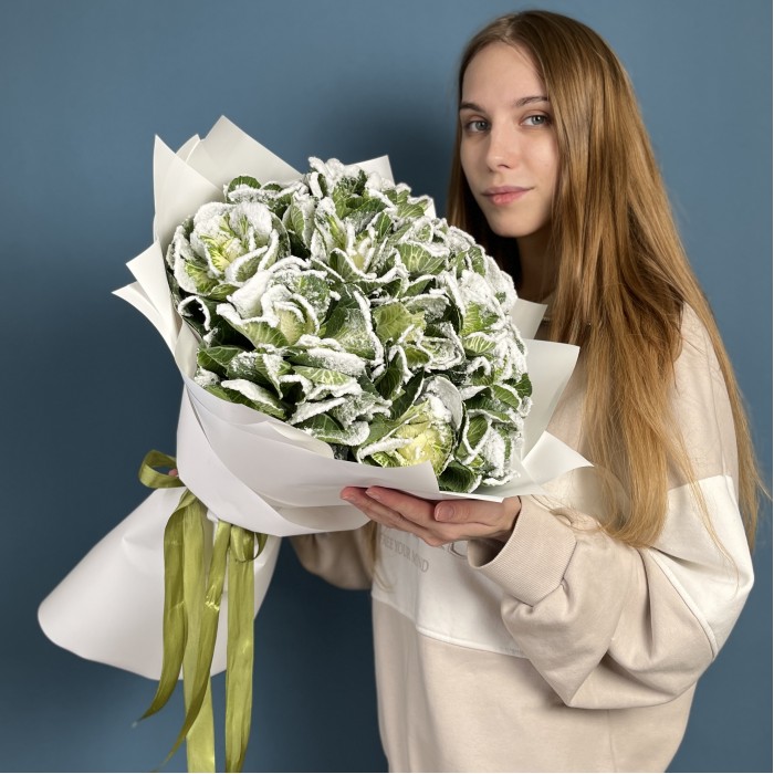 15 заснеженных брассики