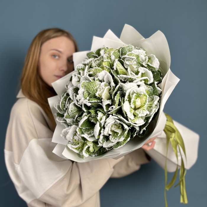 15 заснеженных брассики