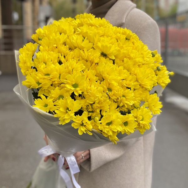15 желтых кустовых хризантем Бакарди