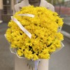 15 желтых кустовых хризантем Бакарди
