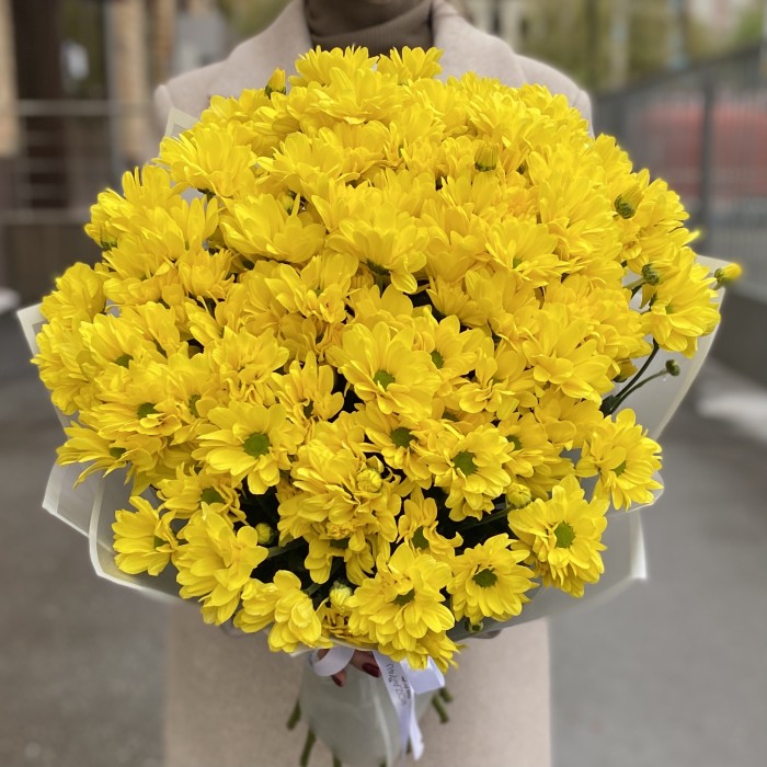 15 желтых кустовых хризантем Бакарди