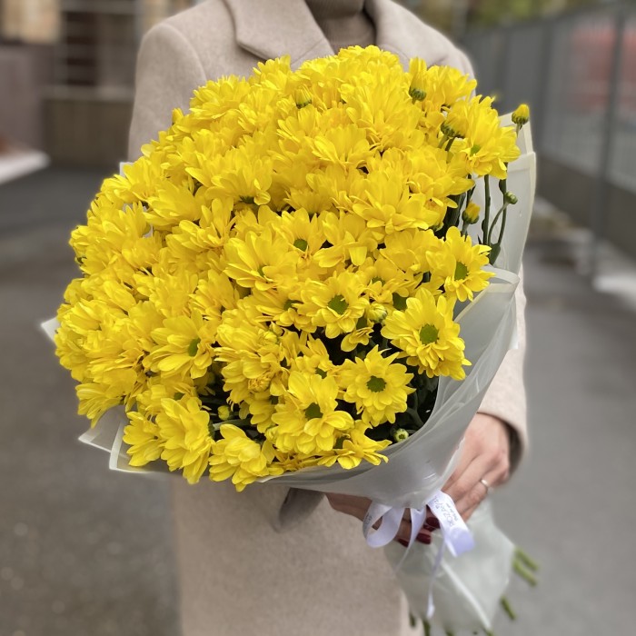 15 желтых кустовых хризантем Бакарди