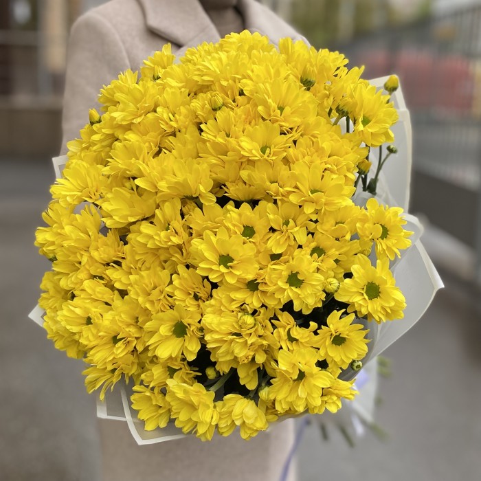 15 желтых кустовых хризантем Бакарди