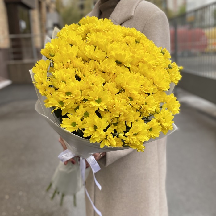 15 желтых кустовых хризантем Бакарди