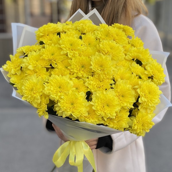 15 желтых кустовых хризантем Балтика