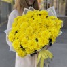 15 желтых кустовых хризантем Балтика