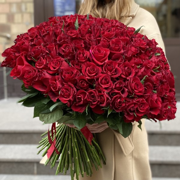 151 красная роза Эвер Ред 60 см